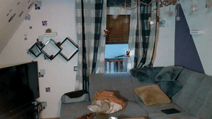 chrissinalovegag.com - D0326 Petty Crooks trouble with the Mafia thumbnail